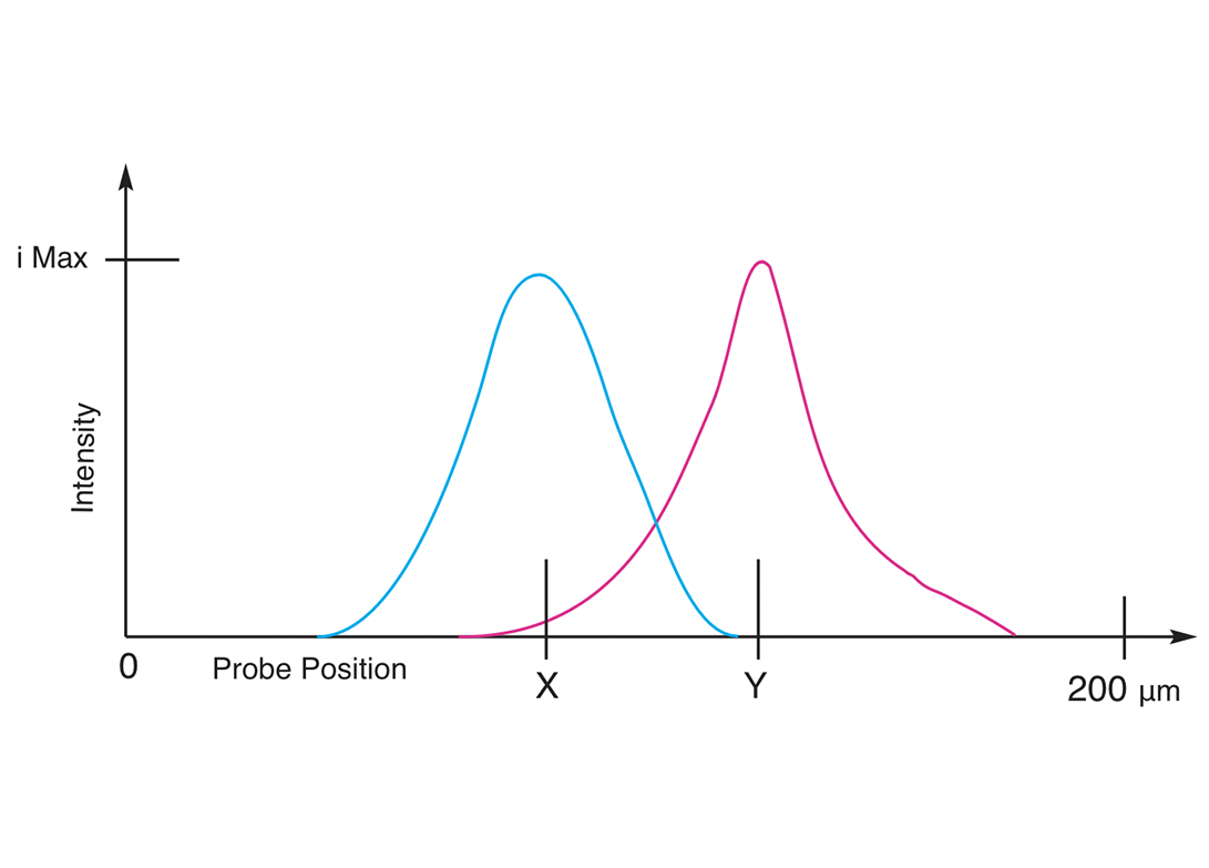Detector signal across the scan with X and Y peaks